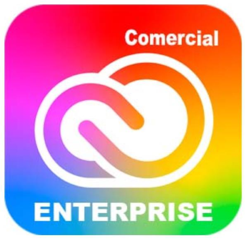 Adobe Creative Cloud for Enterprise - All Apps - Nuovo abbonamento (1 anno) - 1 utente nominale - accademico - Adobe Value Incentive Plan (VIP) Marketplace - Livello 1 (1-9) - Win, Mac - Multi European Languages